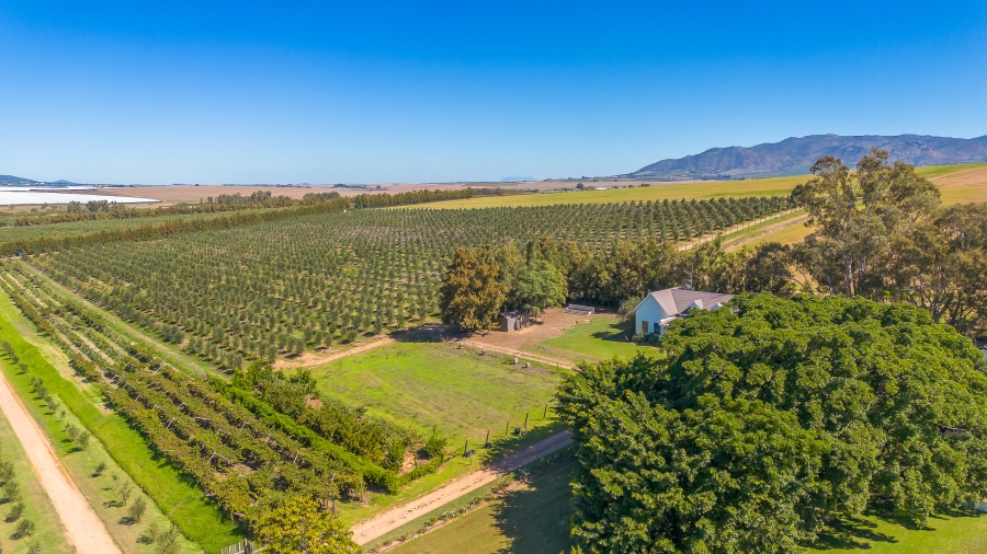 Commercial Property for Sale in Wellington Rural Western Cape
